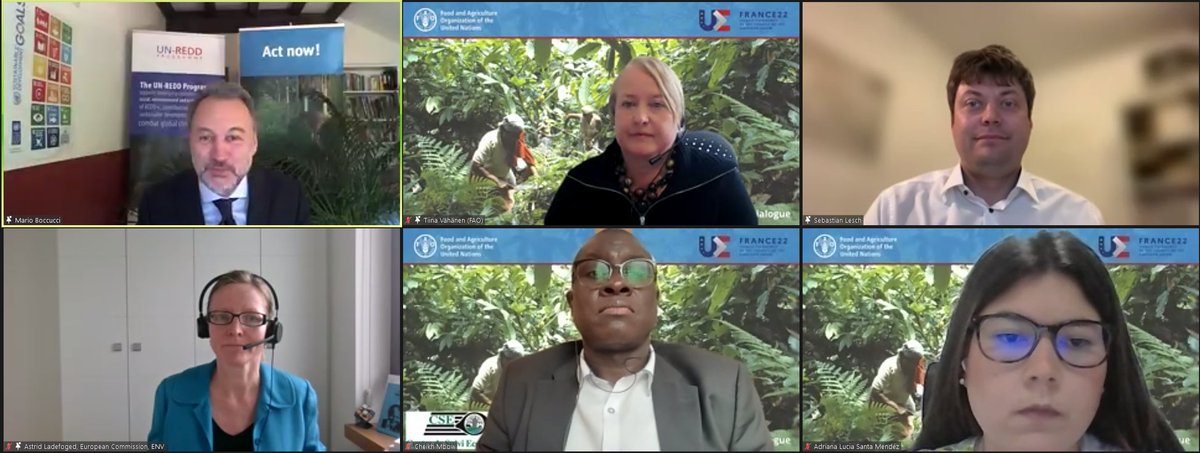 Thank you very much to the panelists during today's #BrusselsDialogue.

Your experiences and lessons learned on current and promising approaches and practices to combat deforestation and its drivers have been thought-provoking.