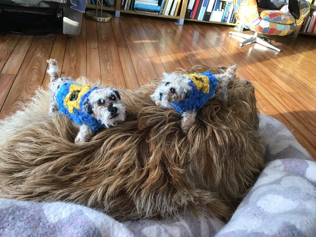 borderbears's tweet image. #btposse #borderterrier #borderterriergifts
baby Borders in Ukranian sweaters
£25 each or both for £40 including shipping from Norway :)
pleaase retweet