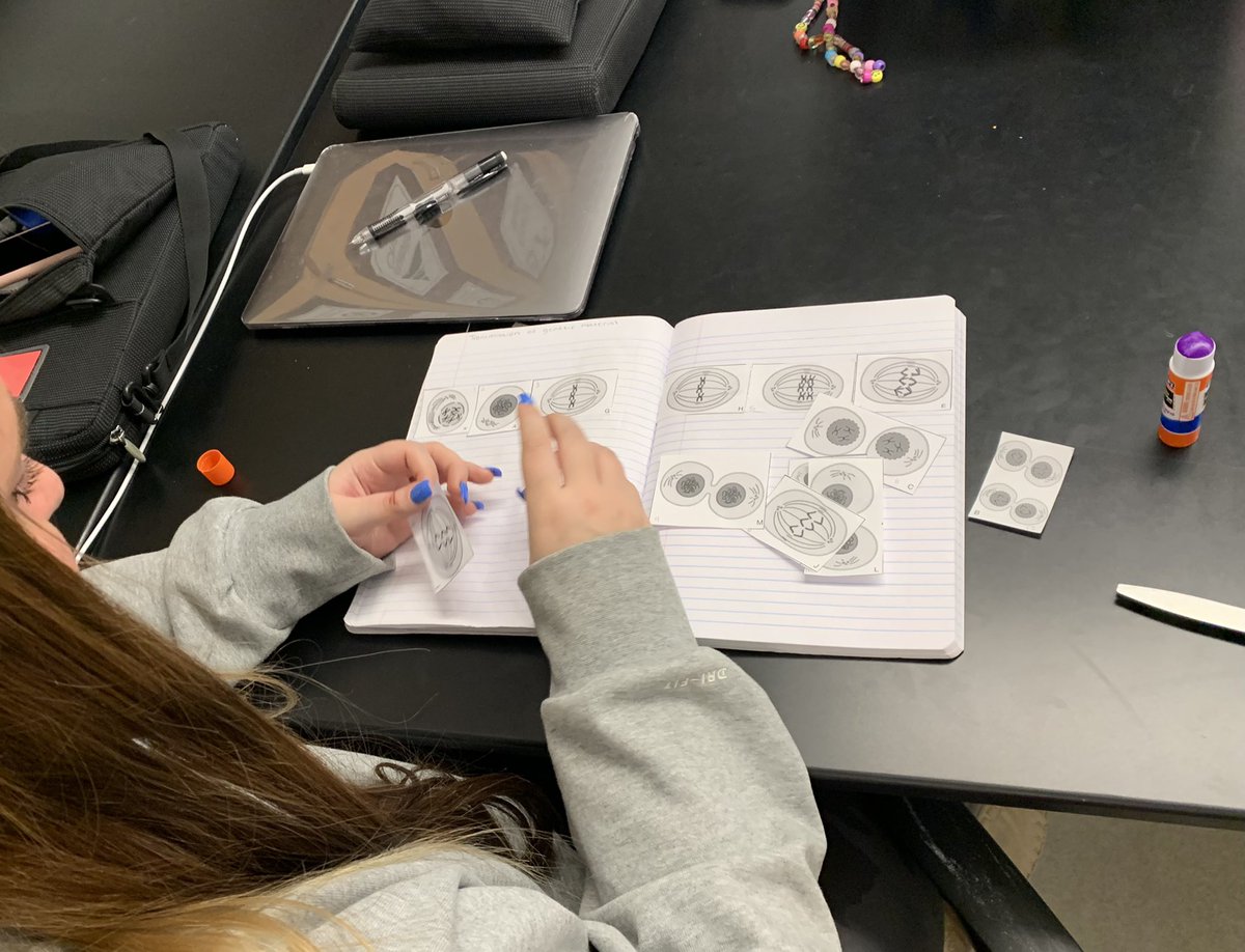 science_at_bsm's tweet photo. Card sort of #uncertainty #meiosis Moving the culture from #learningabout to #figuringitout #sciencepractices @bsmredknights https://t.co/OktltkJ6Vz