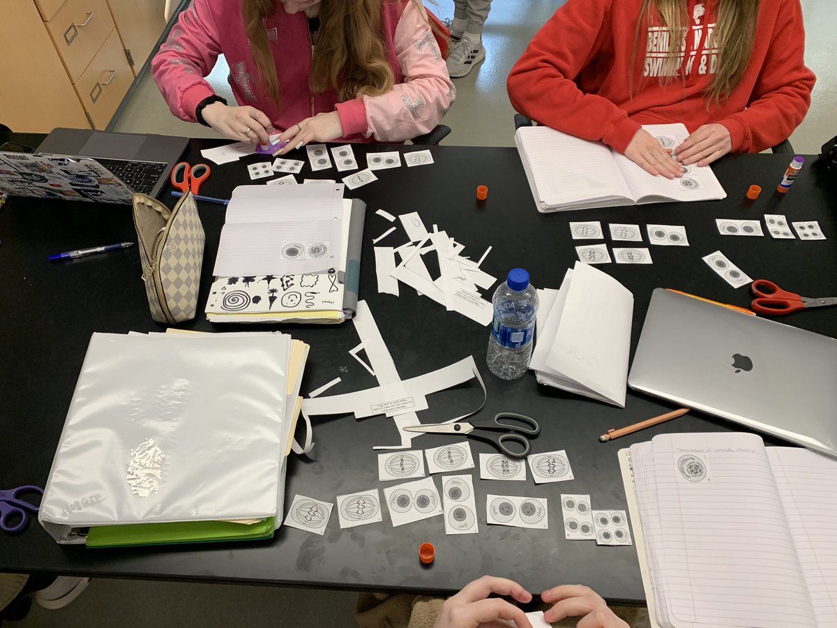 science_at_bsm's tweet photo. Card sort of #uncertainty #meiosis Moving the culture from #learningabout to #figuringitout #sciencepractices @bsmredknights https://t.co/OktltkJ6Vz