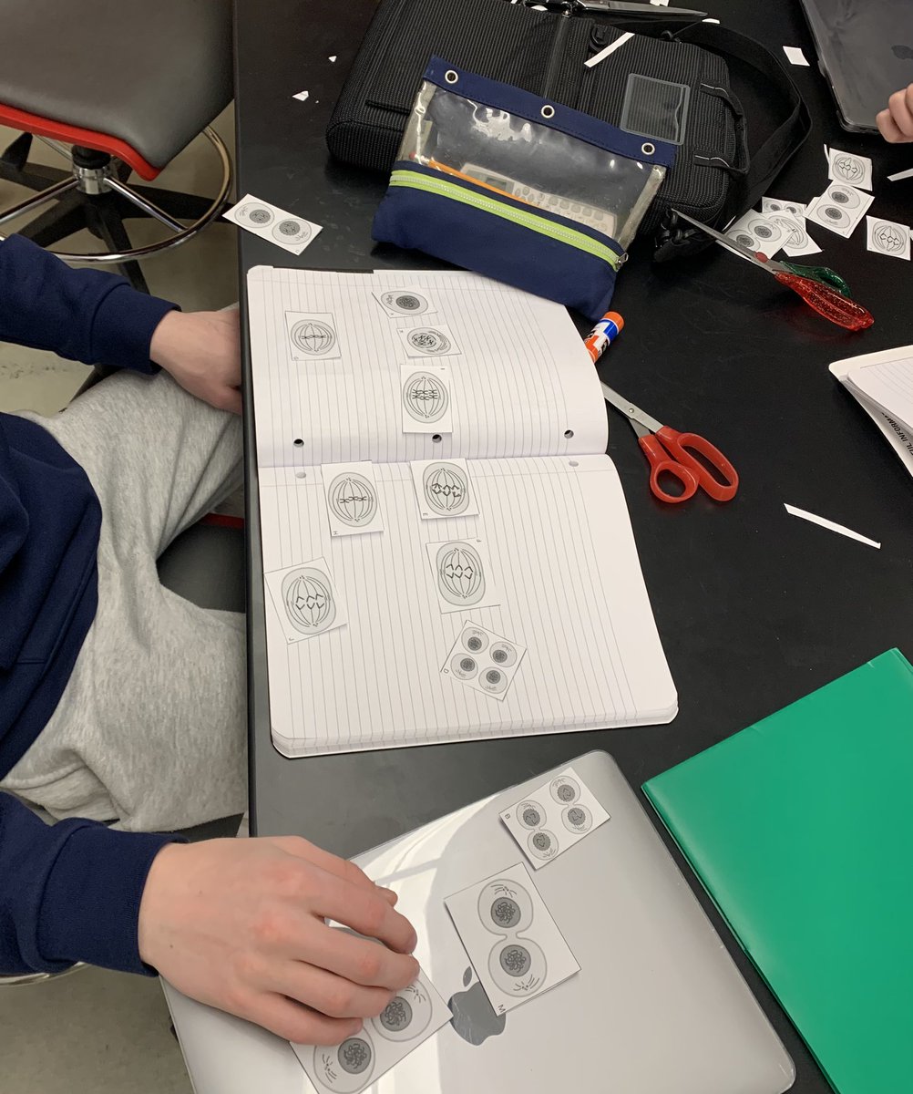 science_at_bsm's tweet photo. Card sort of #uncertainty #meiosis Moving the culture from #learningabout to #figuringitout #sciencepractices @bsmredknights https://t.co/OktltkJ6Vz