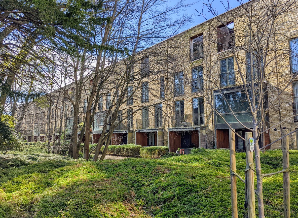 Few choices have so dramatic an effect on the character of a new development as the retention of mature trees. It seems anchored, as though it has been there as long as they have.