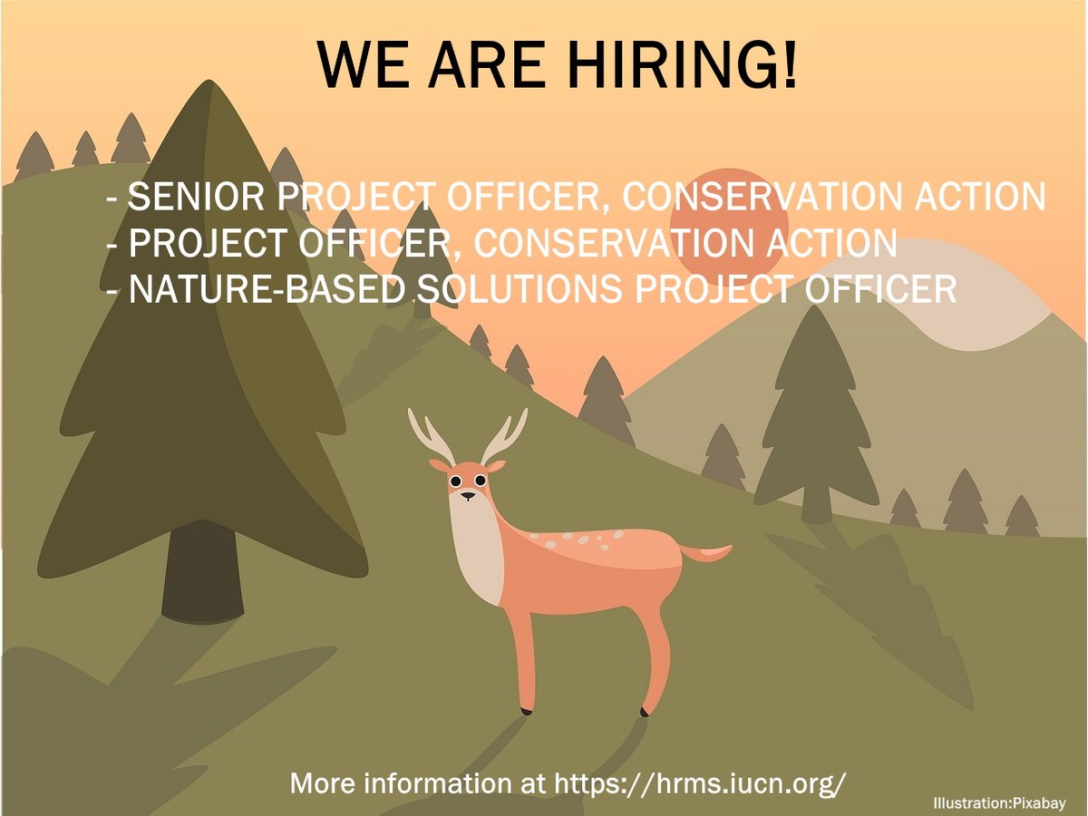 Job alert!📢 
We are looking for 3 qualified candidates to join our teams 👇 
- Senior Project Officer, Conservation Action  bit.ly/3rWnARm
- Project Officer, Conservation Action  bit.ly/3IeI5Pp
- Nature-based Solutions Project Officer  bit.ly/3tcPoTi