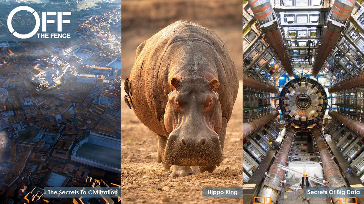 Off the Fence tweet media