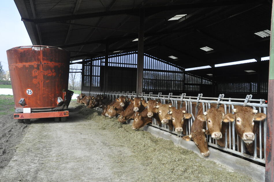 reussir's tweet photo. Election présidentielle : huit Français sur dix sensibles à la condition animale https://t.co/qlAn4LCZjE https://t.co/XUuHidZp6A