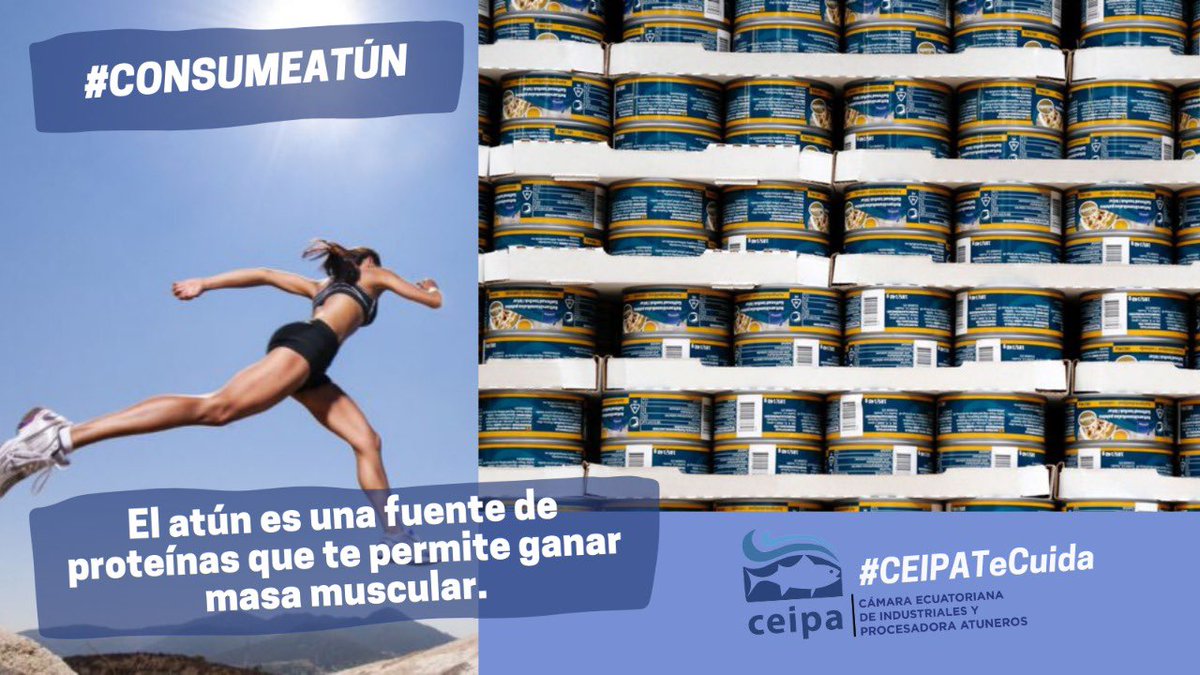 CEIPA_Ecuador's tweet photo. #CEIPATeCuida 🐟🚢🇪🇨 El atún es un pescado bajo en grasas que contiene proteínas de alto valor biológico. 
Si estás pensando realizar una dieta de adelgazamiento y ganar músculo rápidamente debes comer #AtúndelEcuador 🍚🐟 

#ConsumeAtún 
#OrgulloEcuatoriano https://t.co/fw3VkE2VwY