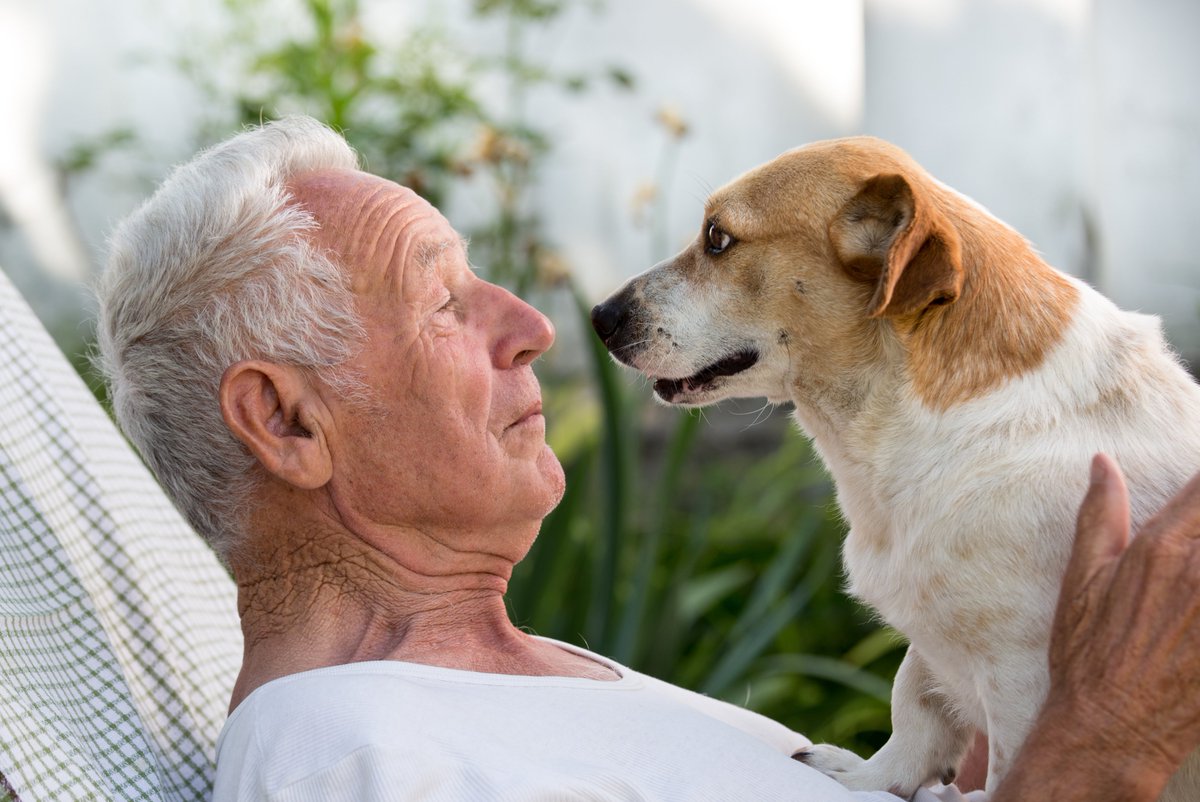 Katie (Becofsky) Potter (@drkatiepotter) on Twitter photo We are looking for few more #dog owners ages 70-84 for our <a href="/UMassAmherst/">UMass Amherst</a> study examining how pets and other lifestyle factors affect brain & cognitive aging! See link in bio for more info! #WesternMass #WesternMA #PioneerValley #UMass #UMassAmherst We are looking for few more #dog owners ages 70-84 for our <a href="/UMassAmherst/">UMass Amherst</a> study examining how pets and other lifestyle factors affect brain & cognitive aging! See link in bio for more info! #WesternMass #WesternMA #PioneerValley #UMass #UMassAmherst