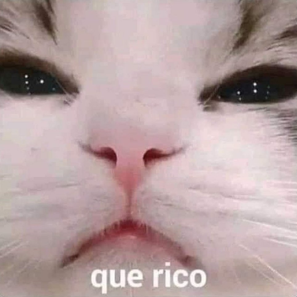 Cuando tomo el primer sorbo de mi café de la mañana.