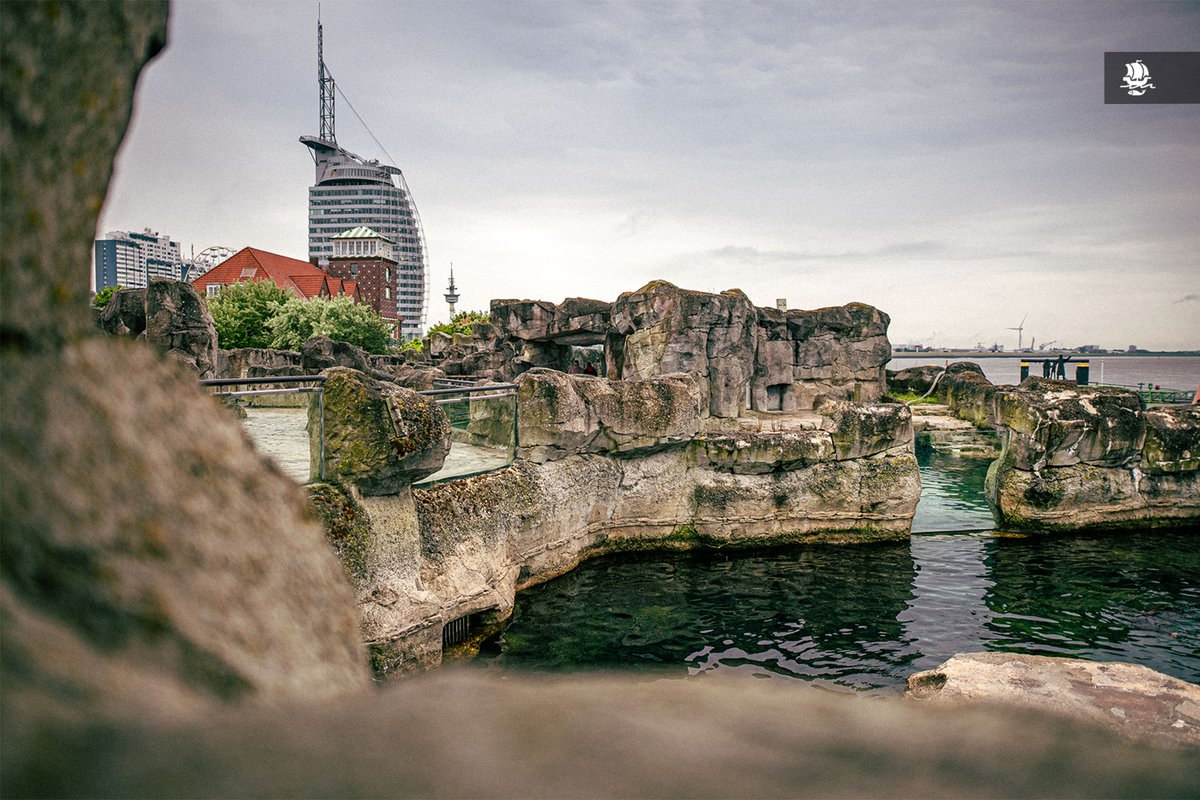 bremerhaven_de's tweet photo. Erste Ideen für eine Erweiterung des Zoo am Meer: #Biodom #Bremerhaven – Vielfalt erleben 🌿
➡️ https://t.co/B9COCFhzYA
#BHVInfo #StadtBremerhaven #ZooAmMeer https://t.co/ThEzCItXMe