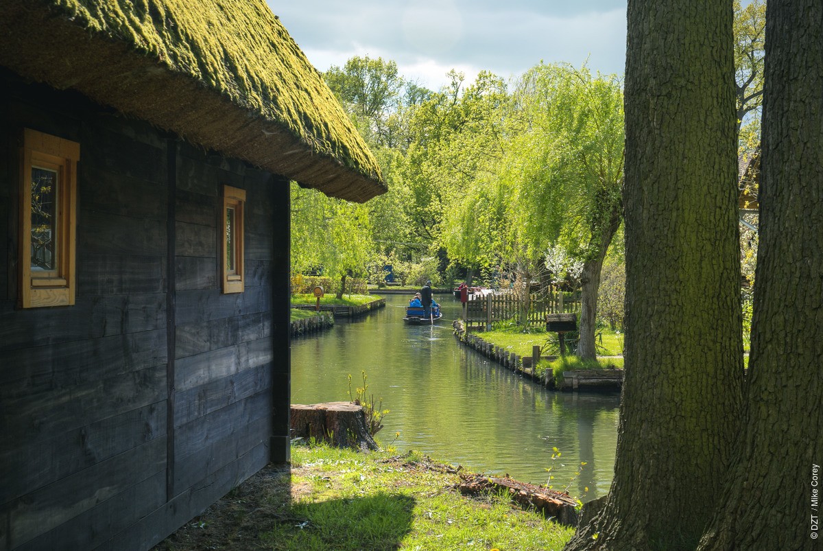 alemaniaturismo's tweet photo. Muchos ya conocéis Berlín. Pero que levante la mano quien ya haya estado en el Bosque del río Spree (Spreewald), un paraíso natural a una sola hora desde nuestra capital. 💚 https://t.co/PebKdbzdC5
