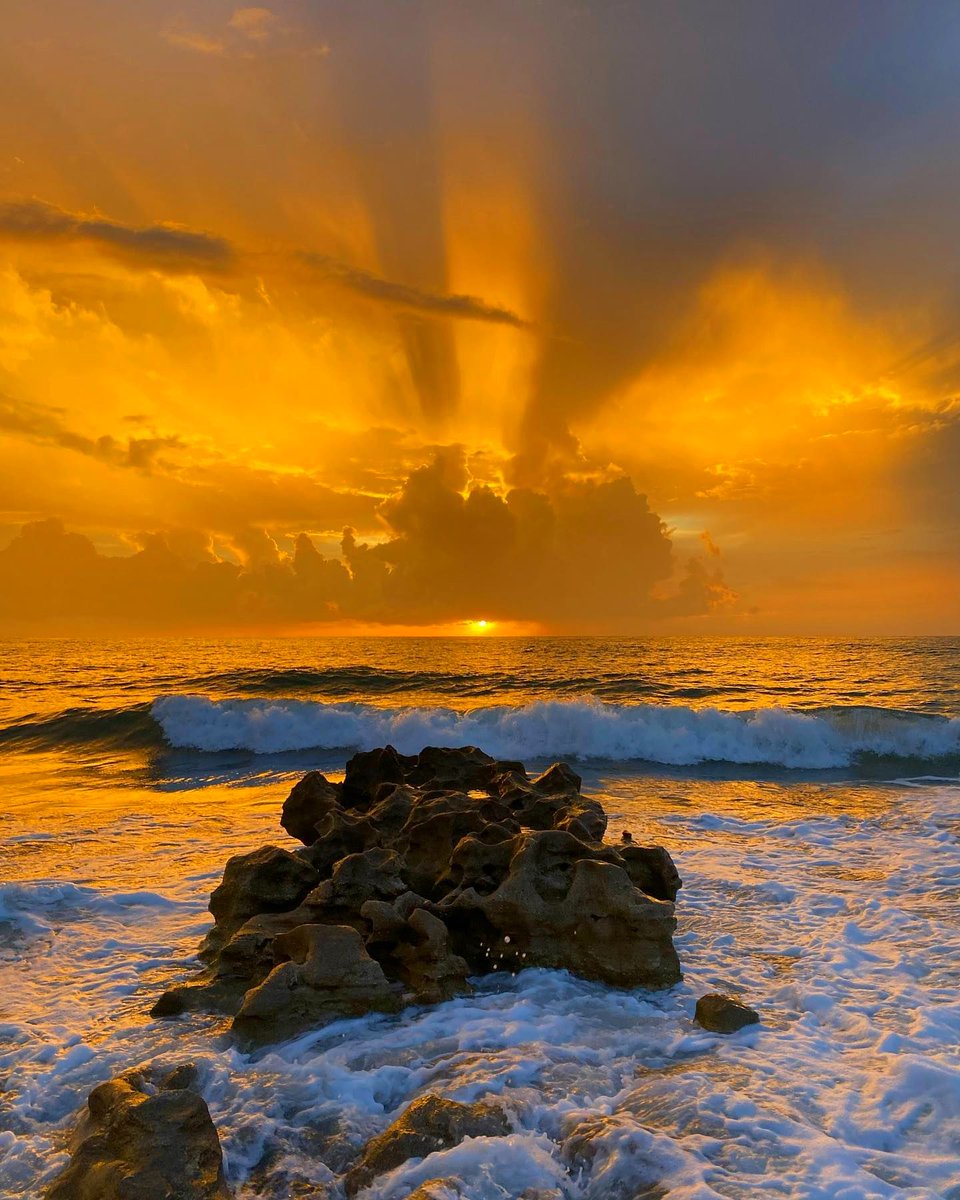 PalmBeachesFL's tweet image. Coral Cove Park is most recognized by its unique limestone rock formations that line its shoreline and provide shelter to a wide variety of marine life 🌅 
#ThePalmBeaches

📸 @danielles_captures