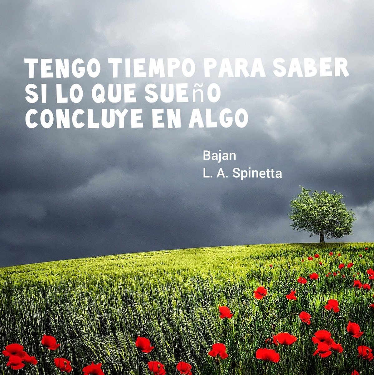 reflexiones's tweet photo. "Tengo tiempo para saber
Si lo que sueño concluye en algo."
Bajan / Luis Alberto Spinetta 
#BuenMartes https://t.co/ewv9iKxda7