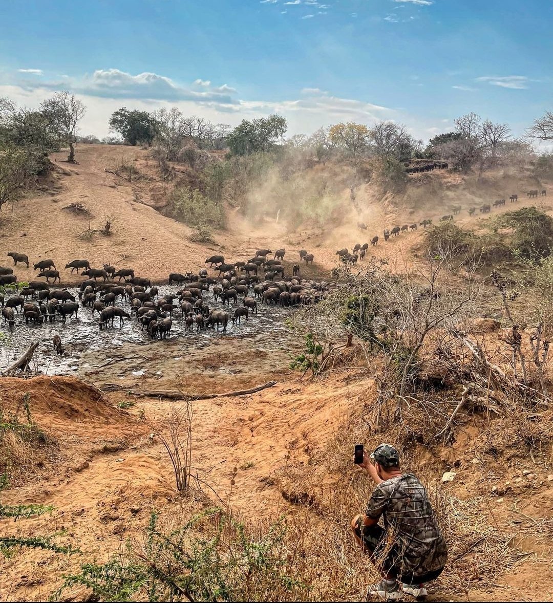 ZimBho_Official's tweet photo. Did you know? 
Mashonaland West harbours all your mythical adventure and historical tales. Places to visit include, #ManaPools which is exclusively nature-based and offers visitors a wilderness experience with activities. 
📸: @DjoDjoDr https://t.co/S9Ntrf1R58