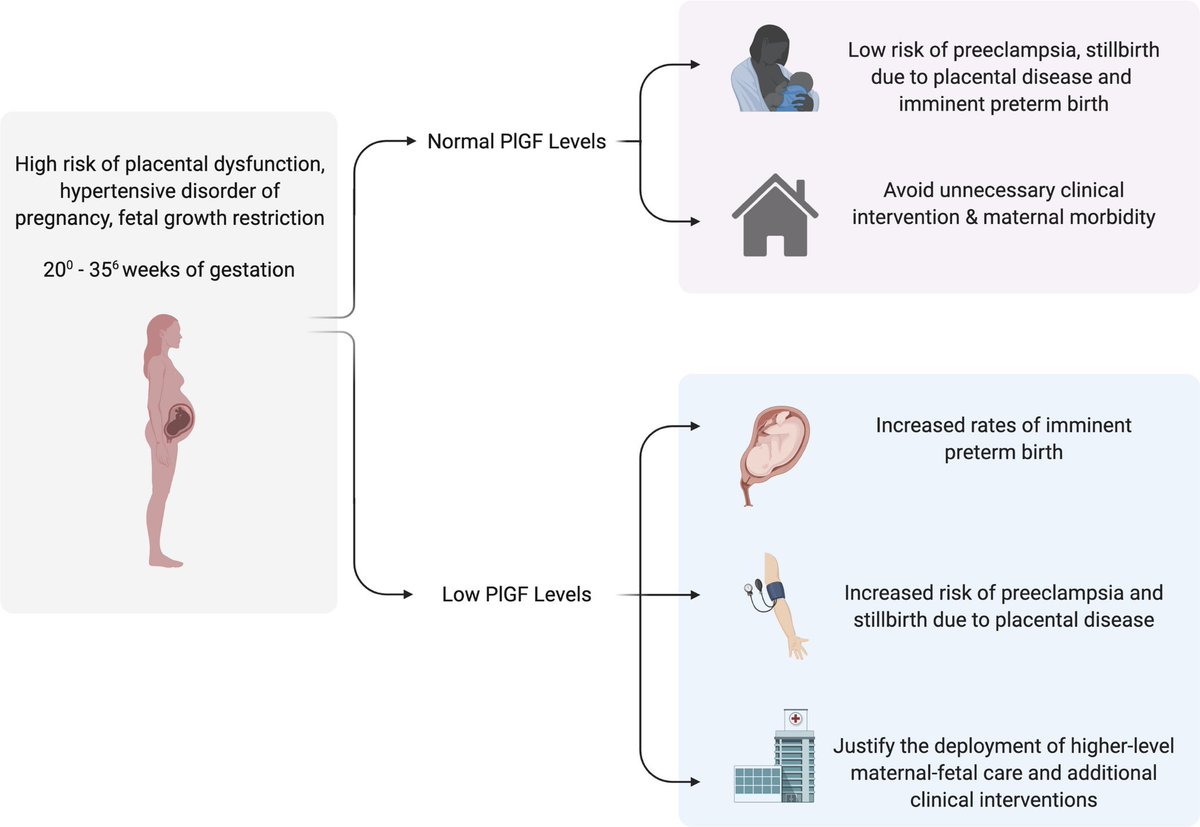 Cardio-Obstetrics tweet media