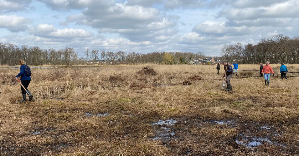 Afgelopen zaterdag was alweer de laatste werkdag van het seizoen voor de vrijwilligers van het #Soesterveen.  Nu tijd voor andere zaken. Morgen stemmen voor de gemeenteraadsverkiezingen bijvoorbeeld. Twijfelt u nog? Lees ons stemadvies. #GR2022  #soest  behoudsoesterhoogveen.nl/nieuws/soester…