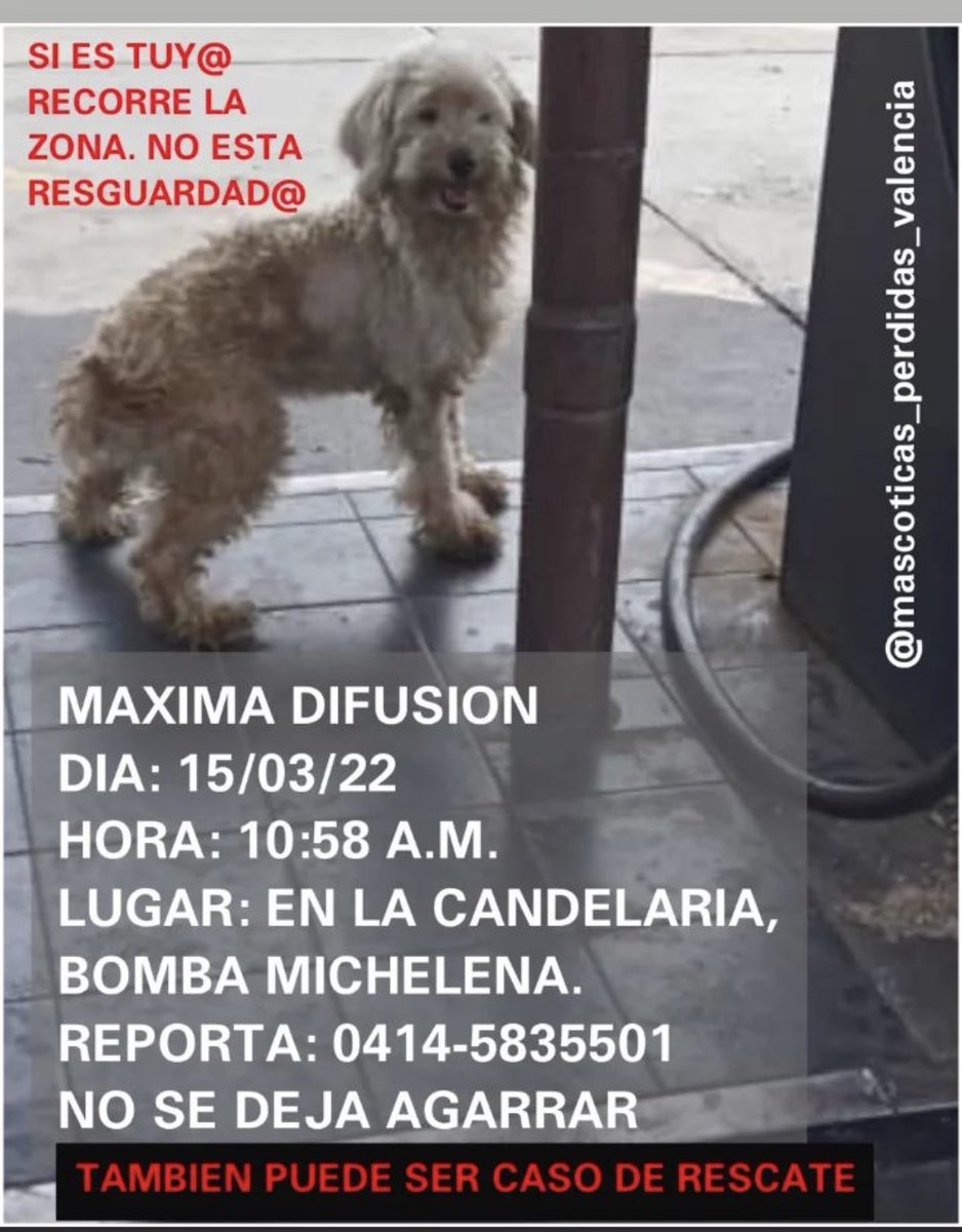 CarmenZR04's tweet photo. En la Candelaria https://t.co/kdkLxvMqrn