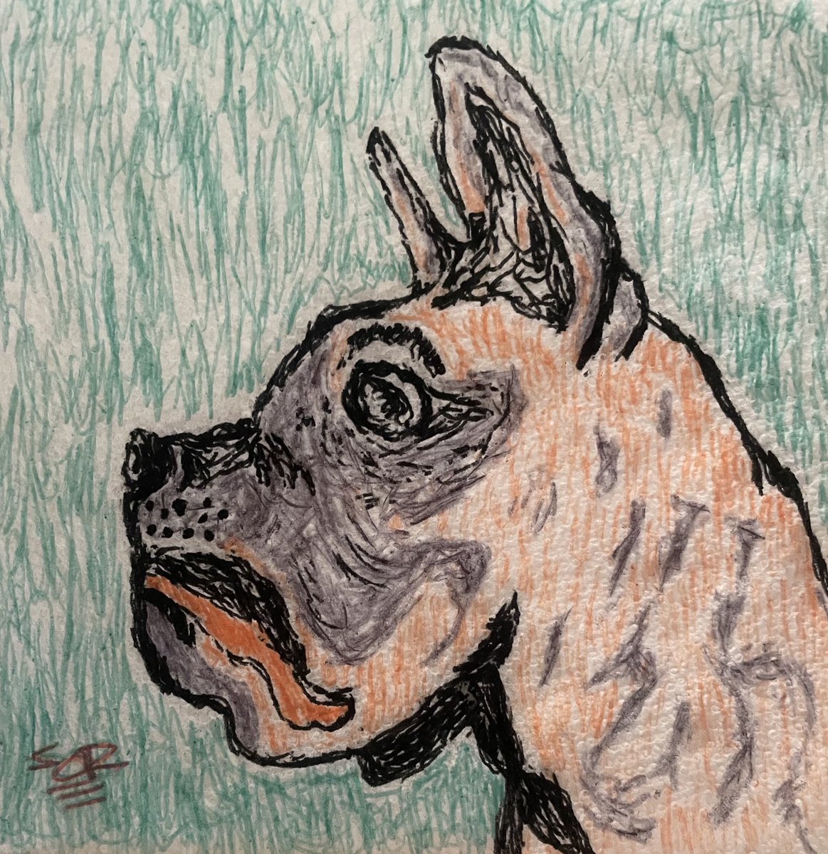 SamuelOrtizRamo's tweet image. #ElBoxer #SOR💥