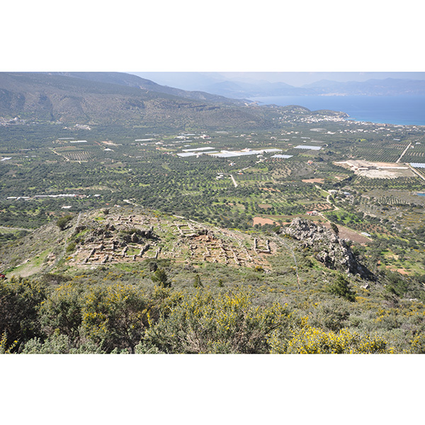 INSTAP Academic Press tweet media