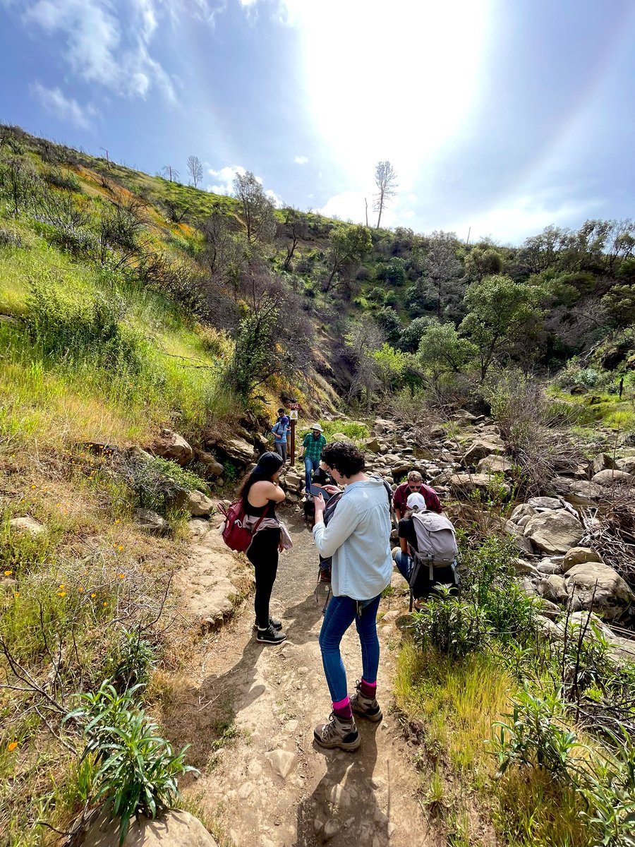 Shawn Christensen 🏳️⚧️ tweet media