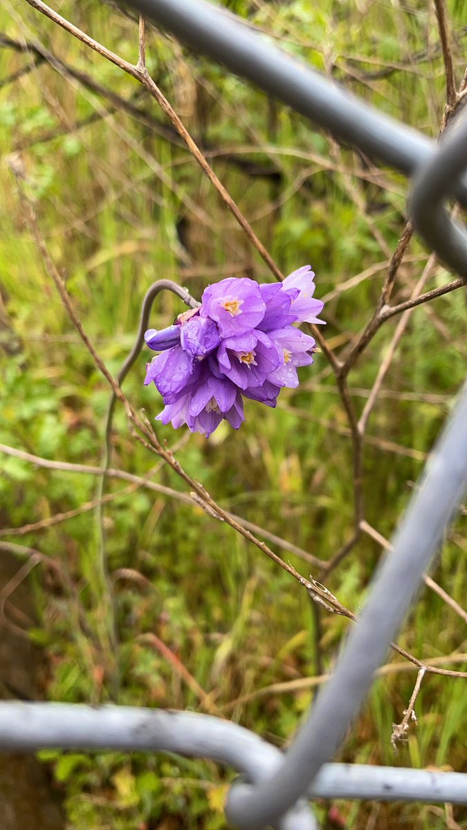 Shawn Christensen 🏳️⚧️ tweet media