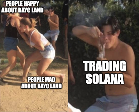 NotSoEasyMoney's tweet photo. Live Look at my Bird App Today. https://t.co/s1pbTmCUQO