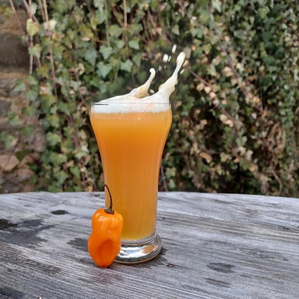 Introducing the first in our single keg series, where we take one keg of a batch and see what type of tasty concoction we can make

First up is using our Bellevue to create a Peach Habanero NEIPA, bursting with peach and citrus with a solid but not overwhelming habanero burn.