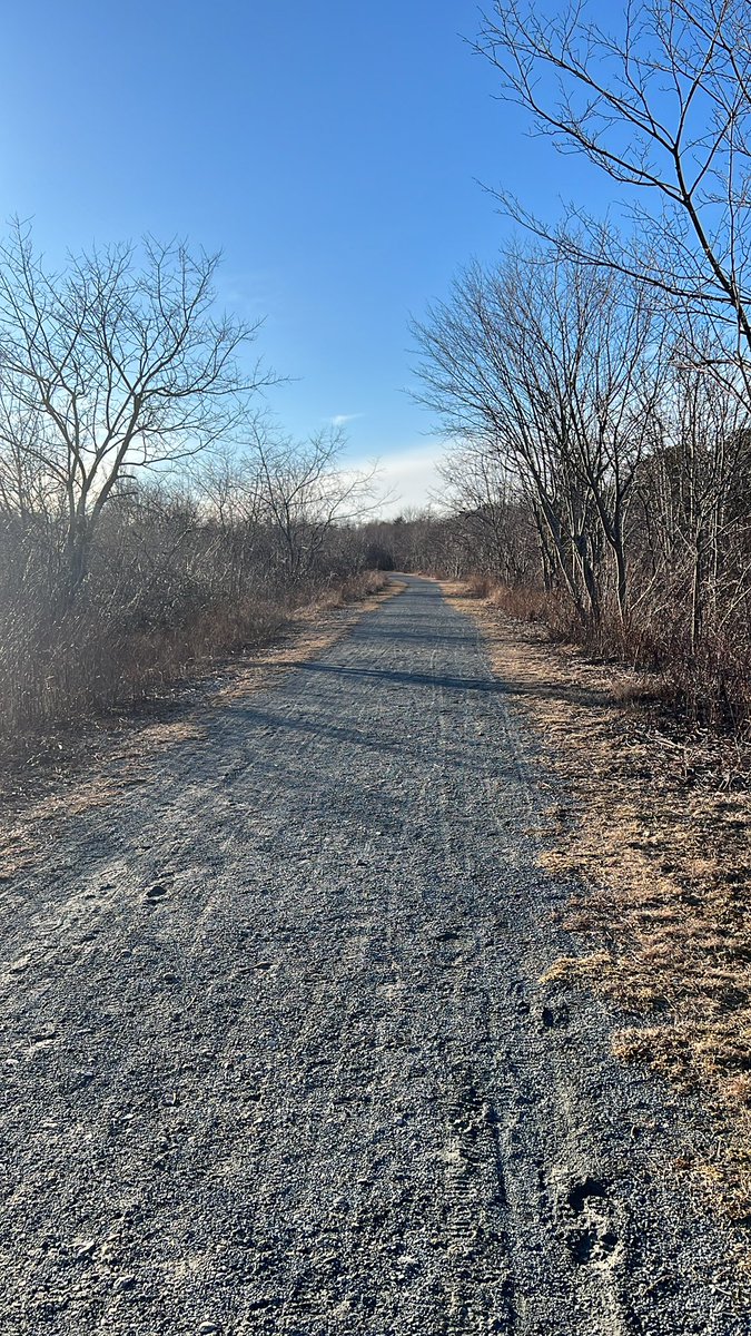 somethingwitty's tweet image. When you don’t run for a while and then you do, you want to vomit.