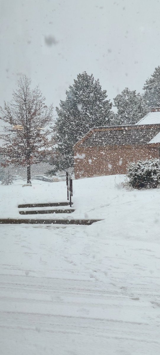 heidyHarl's tweet photo. The groundhog was right !
#HereComesSpring https://t.co/aOdaH0FGW4