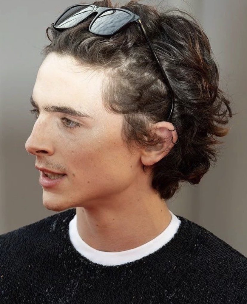 Musetta_May's tweet photo. category is SKIN and timothée chalamet is winning https://t.co/Wwcs1gZzBg