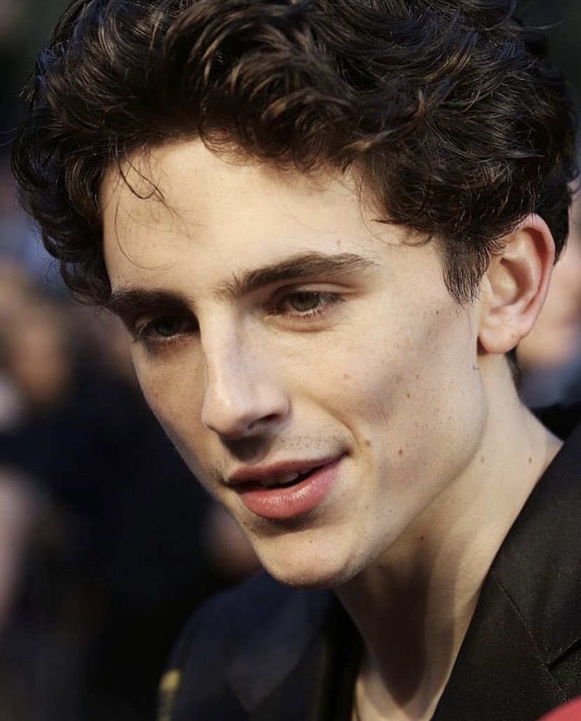 Musetta_May's tweet photo. category is SKIN and timothée chalamet is winning https://t.co/Wwcs1gZzBg