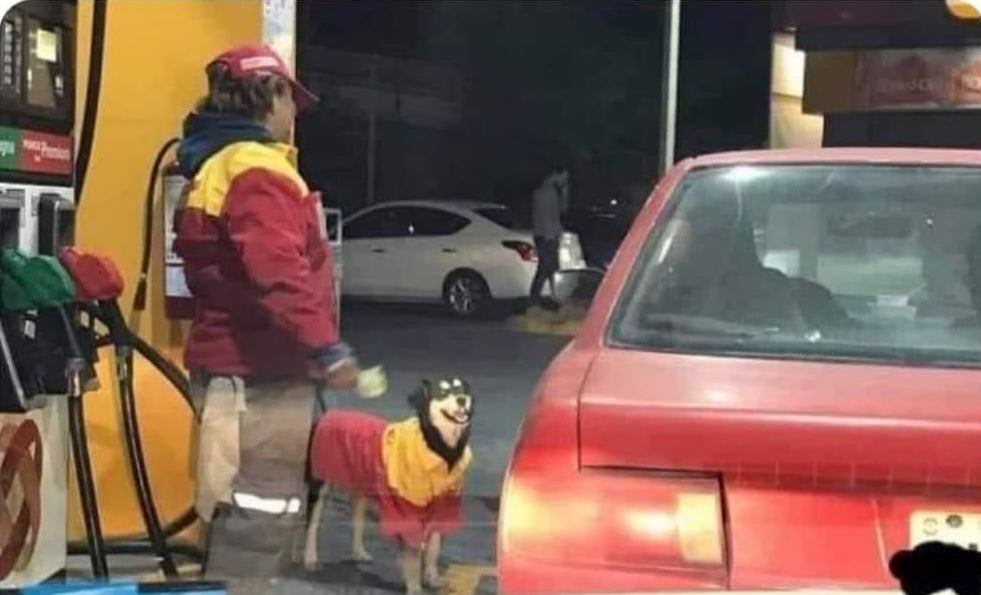 DiloConPerritos's tweet photo. Te quiero mucho perrito despachador de gasolina ⛽️ https://t.co/AFFBlo4AKR