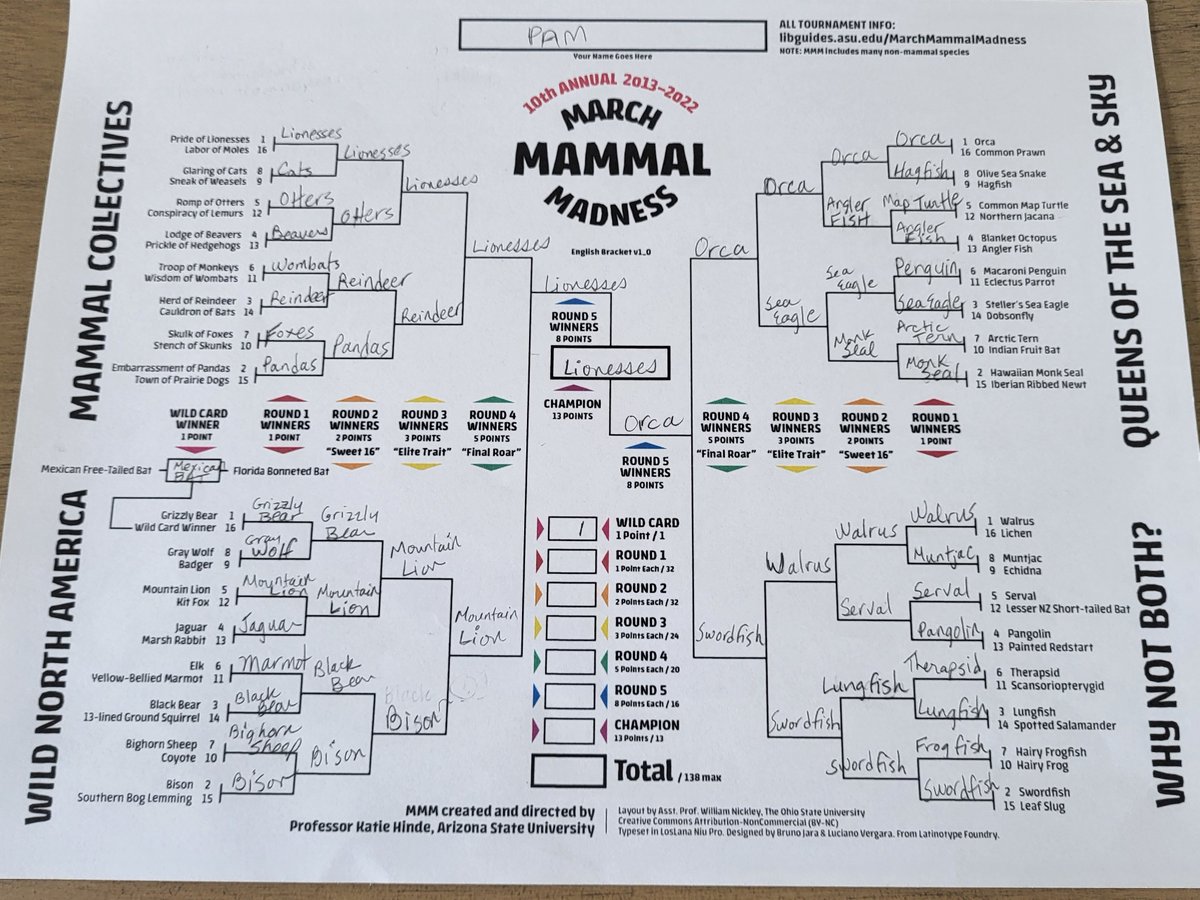 pam2cats's tweet photo. My March Mammal Madness bracket is ready -- betting it all on the Pride of Lionesses!   #2022MMM https://t.co/e6xdZxLI2K