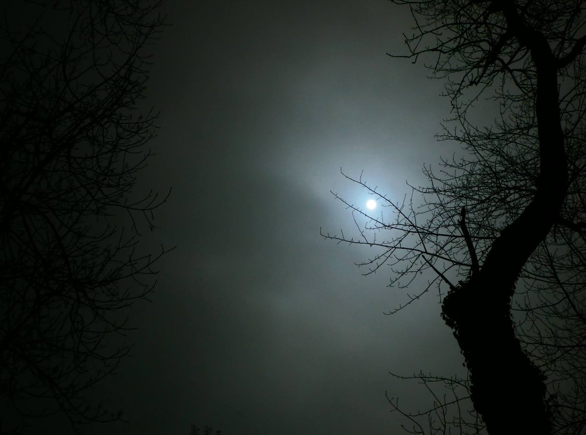 withnomoney's tweet photo. Night https://t.co/sok5dgClZv