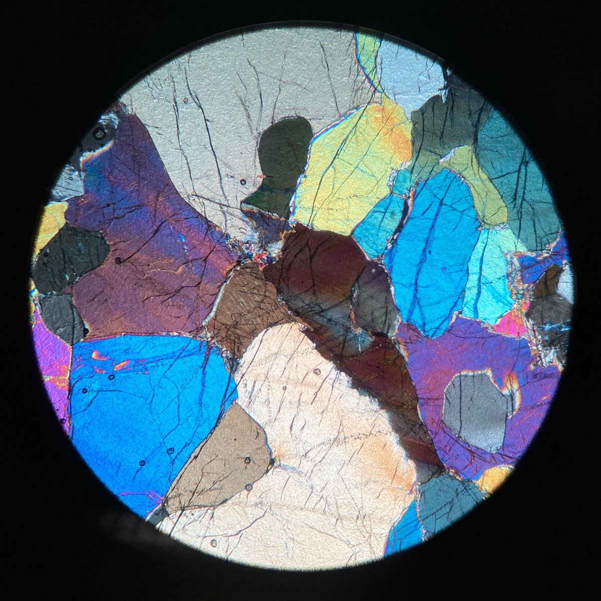 cIoudymars's tweet photo. I keep intending to update this account with all the things that I’ve been learning, but I’ve learned so much that I don’t even know where to start! 

This week I’ve joined a thin section microscopy course, which has been a very steep introduction, but at least it’s pretty🤩 https://t.co/MzrIGLBfzN