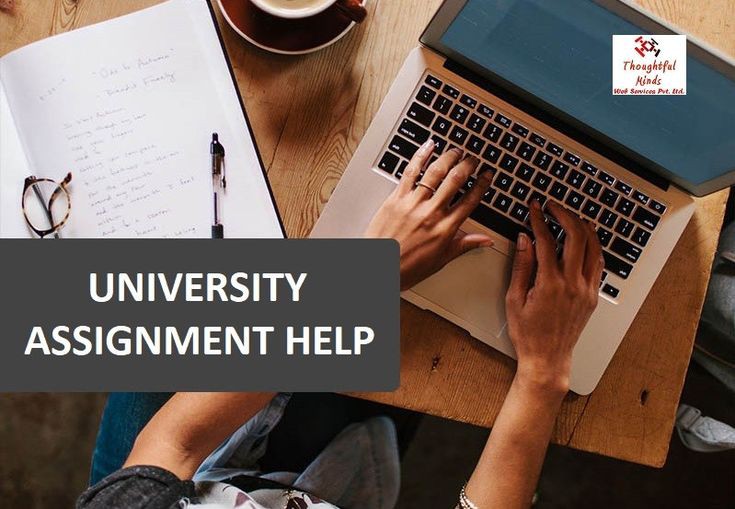 assignment help Expert Interview