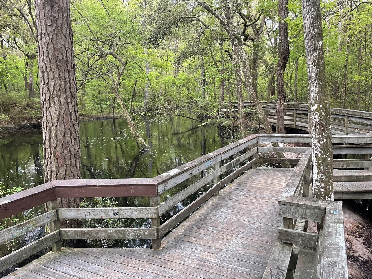 SRWMD's tweet photo. Where did the waterfall go?

Taken this morning at Falling Creek, high water levels have completely hidden one of the District's gems. It looks quite different from the other photo, taken last year during normal water levels, when the creek roared and plummeted 10 feet below. https://t.co/U32eaGu0ub