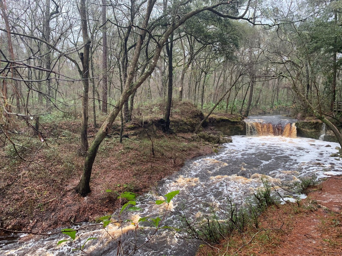 Where did the waterfall go?

Taken this morning at Falling Creek, high water levels have completely hidden one of the District's gems. It looks quite different from the other photo, taken last year during normal water levels, when the creek roared and plummeted 10 feet below.