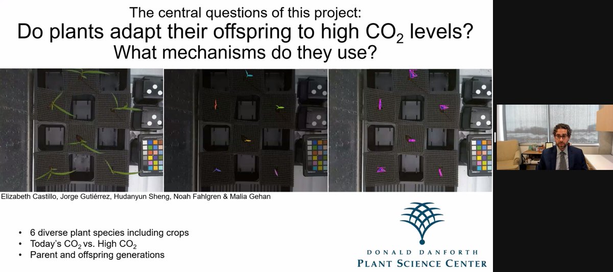 Danforth Center tweet media