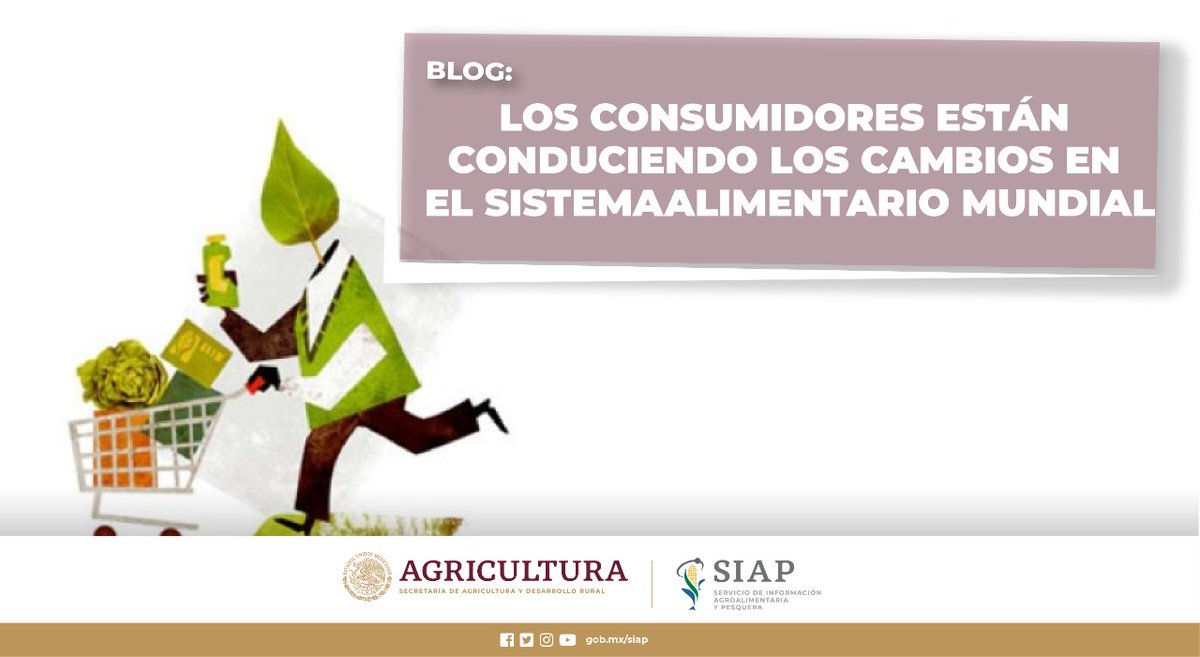 DGSIAP_Mx's tweet photo. #BlogSIAP En el impulso de #sistemasalimentarios sostenibles, incluyentes, saludables y nutritivos, el #consumidor adquiere un rol destacado. Por lo que reconocer su importancia y preocupaciones, será primordial.
Lee: https://t.co/qKn8TzolRx https://t.co/r50YSygrCc
