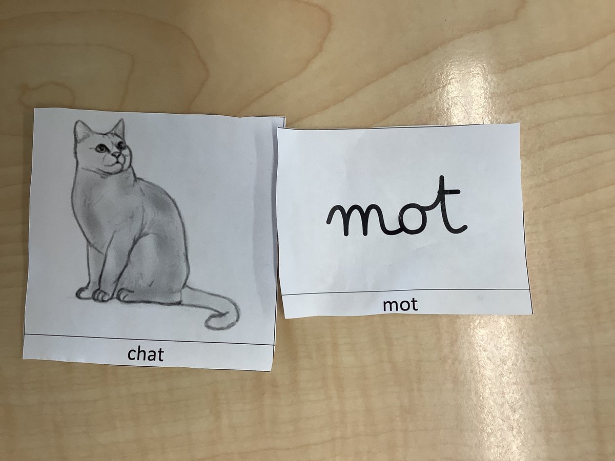 Vous pouvez deviner les trois autres mots avec les photos?
On croit que oui.
@YYC_gs 
#LaSemaineDeLaFrancophonie