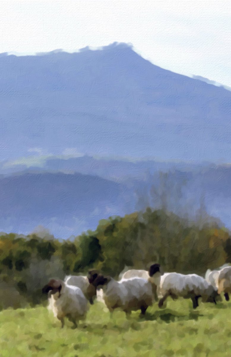 Tintement des cloches
En montagne ou en ville -
Le temps d’une pause

#haiku #paysbasque #cloches #mouton #eglise #pause #meditation #poesie