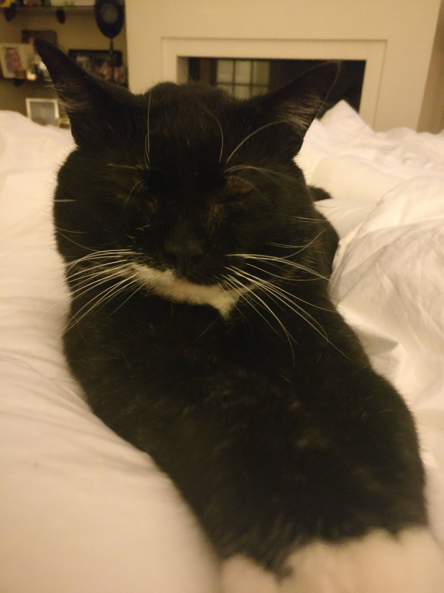 Louise Birchall RN DN QN tweet media