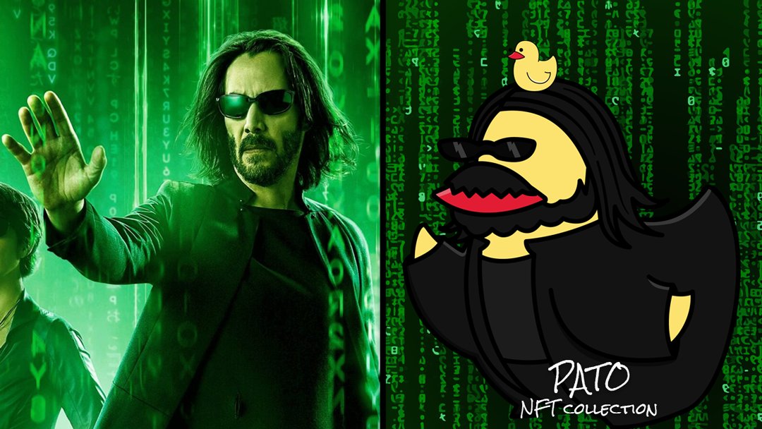 nft_e3's tweet photo. Thousands different characters - PATO #NFT 5000 unique NFTs 🦆 with 6 categories of rarity 🤯

🔥 50 PATO #Airdrop 🔥
🎁To win yours 🎁
✅Complete the form on https://t.co/qnl8qveQWX
✅ Follow us on Twitter @nft_e3
✅ Join to Discord https://t.co/ysU2t3Jc1B https://t.co/rwpxEAoMHR