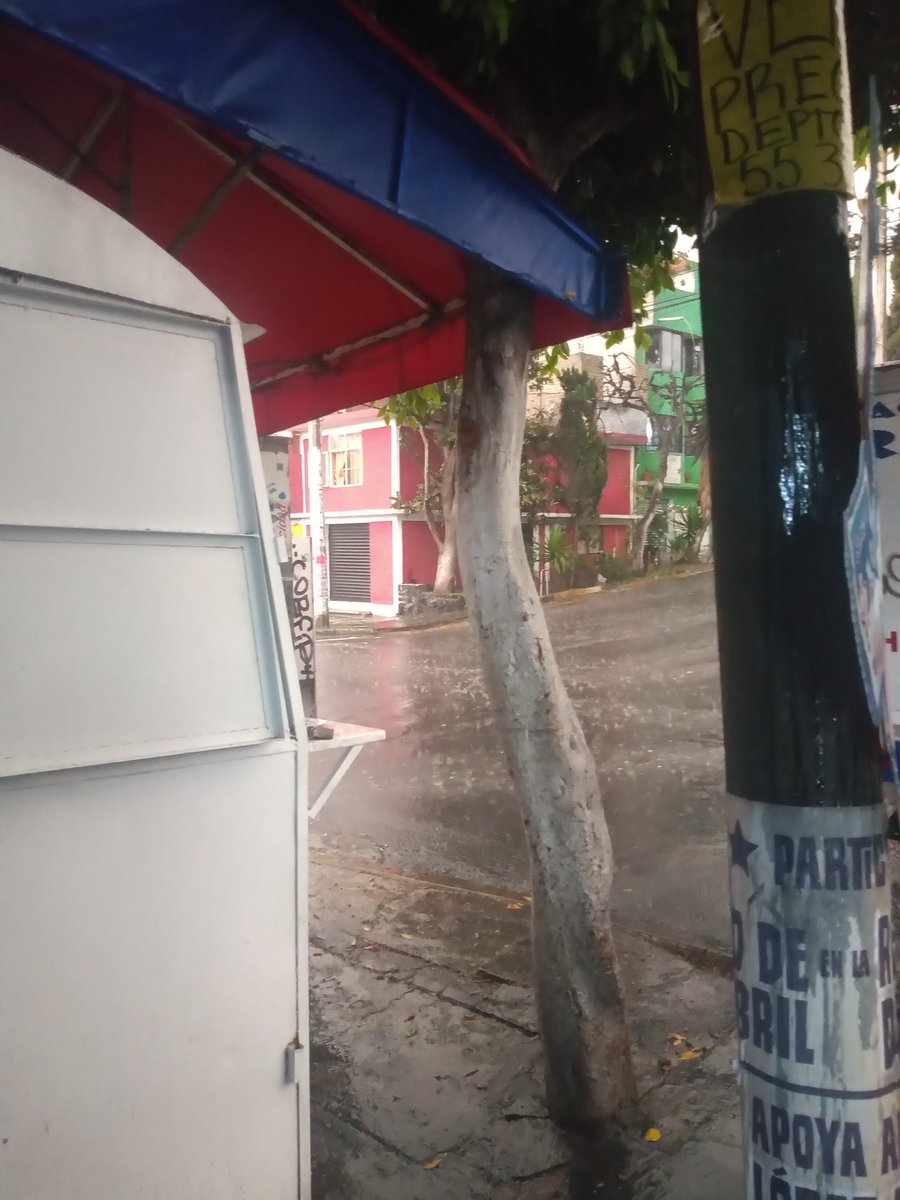 m4rciy's tweet photo. Aguanta tantito Tláloc, mi ropa ya valió y ni a casa puedo llegar 🌧️🌧️ #lluvia #aguacero #miropa https://t.co/ZY7wtAklZW