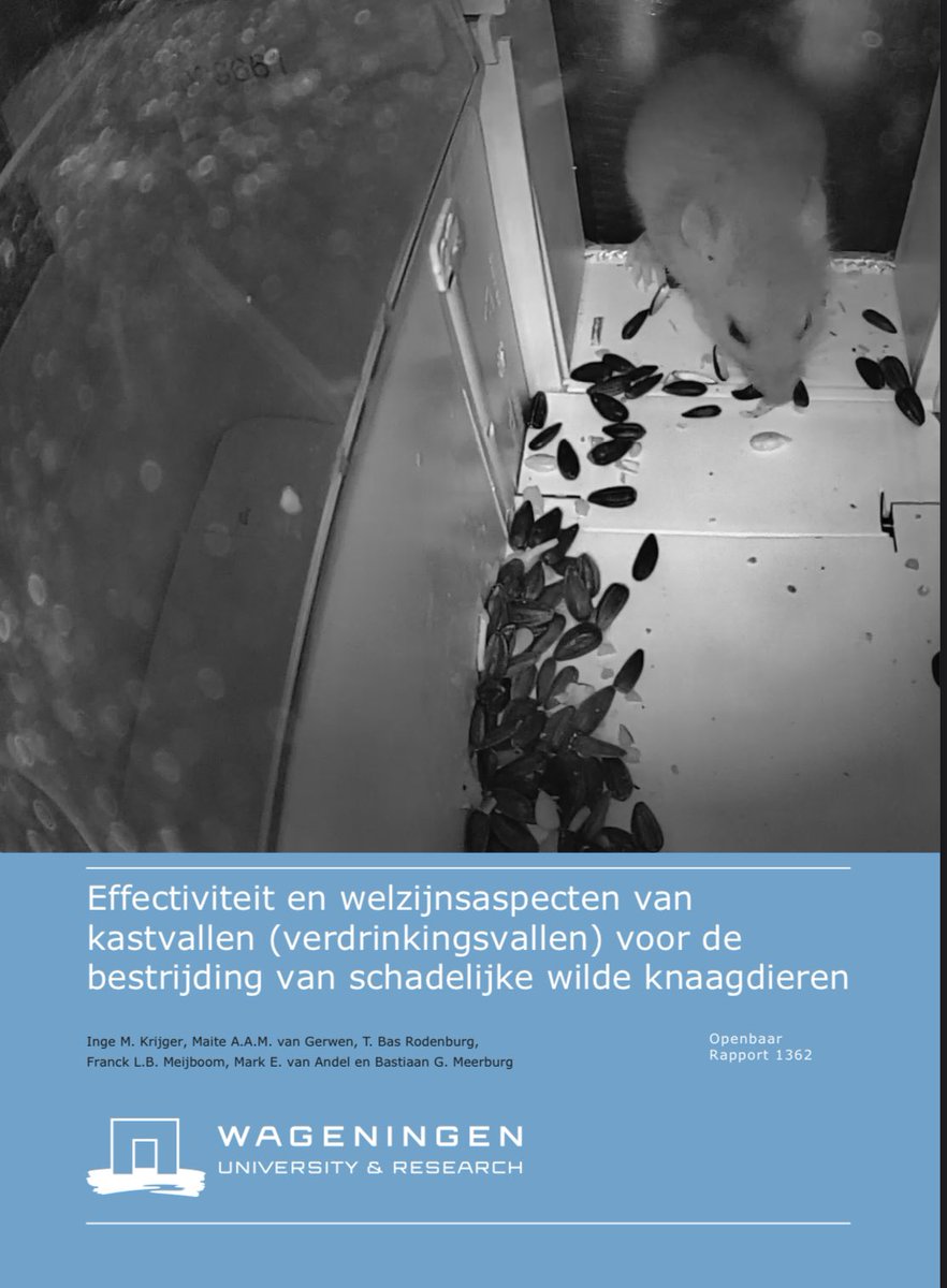 In opdracht van <a href="/minlnv/">Minlvvn</a> deden wij vanuit <a href="/WUR/">Wageningen U&R</a>, <a href="/UniUtrecht/">Utrecht University</a> en <a href="/KAD_Wageningen/">KennisAdviescentrumDierplagen</a> onderzoek naar de effectiviteit &amp; welzijnsaspecten van kastvallen (verdrinkingsvallen) voor bestrijding van knaagdieren. 🐀 Het rapport is hier beschikbaar: edepot.wur.nl/565367
#eko1000 #ekomille