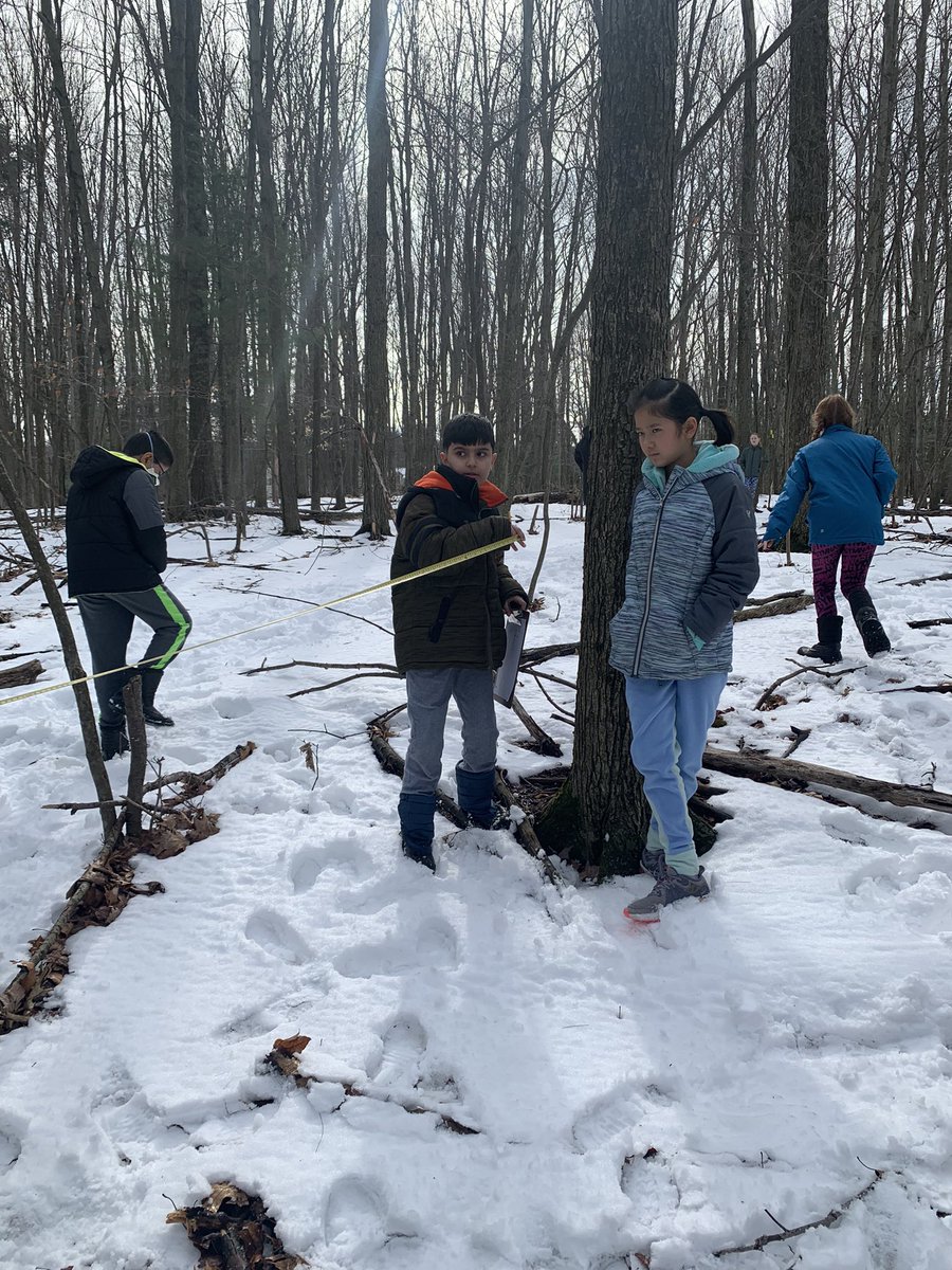 Today we scouted possible places on our school grounds for a new outdoor learning space we are calling The Hammock Garden. The project is being totally planned and driven by our fifth graders! #vestalhills <a href="/tamastro17/">Therese Mastro</a>🌲☀️☁️📚