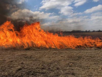 Oklahoma Conservation Commission tweet media
