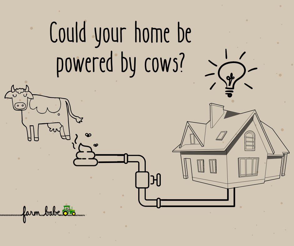 Farm Babe tweet media