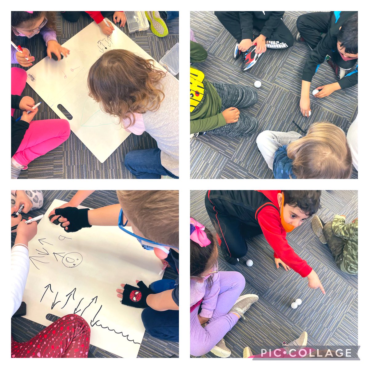 Alyssa Favot tweet media