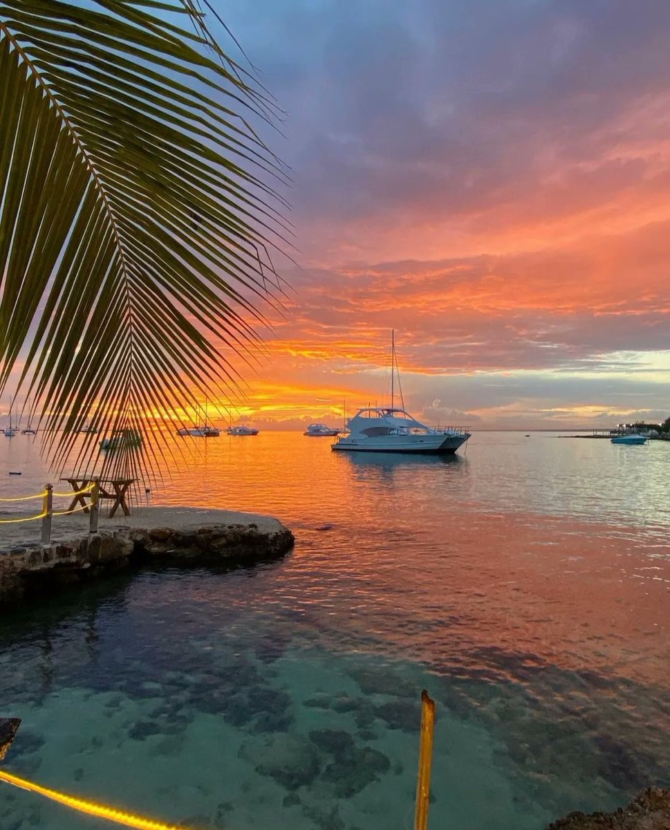 Bayahíbe Beach, Dominican Republic 🌅